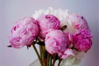 Think Pink Valentin